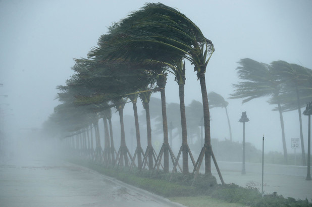 Как себя вести при урагане или сильном ветре?